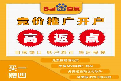 竞价代运营的案例研究：如何精准投放广告并获得回报